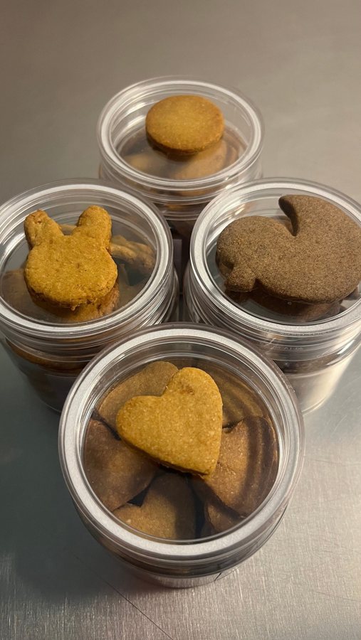 Carrot bunnies