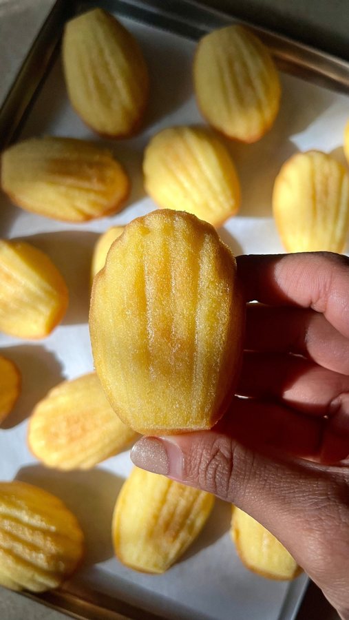 Madeleines